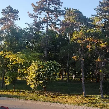 Stan Na Dan Jovana Apartment *