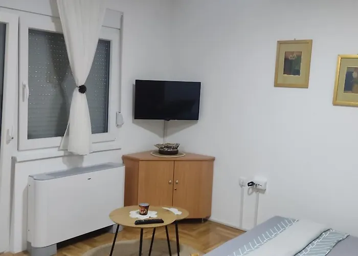 Stan Na Dan Jovana Apartman Sid