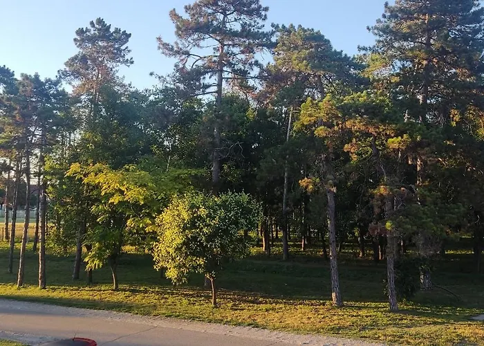 Stan Na Dan Jovana Apartman *