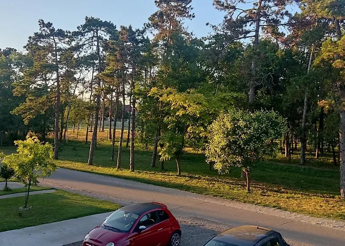 Apartman Stan Na Dan Jovana *